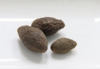 胖大海的功效与副作用全析