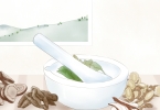 哪些中药具有抗衰老的作用