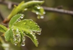 春分节气已过 请注意防湿热
