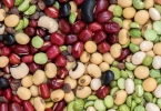 中伏吃什么食物好 这六种食物可以多吃