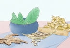 山核桃的药用及保健功效