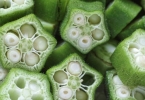 不吃蔬菜会有哪些危害：探讨蔬菜在健康中的关键作用