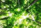梅雨季节养生 三“防”不能忘