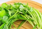 香菜 看体质治感冒