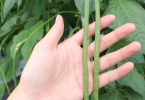 中老年人的十二时辰养生法