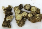 苍术的主要功效与作用