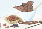 大毛桐子根的功效与作用