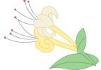 金银花是什么 金银花的作用