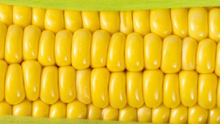 养生运动方法有哪些?白领健身操可护体养生