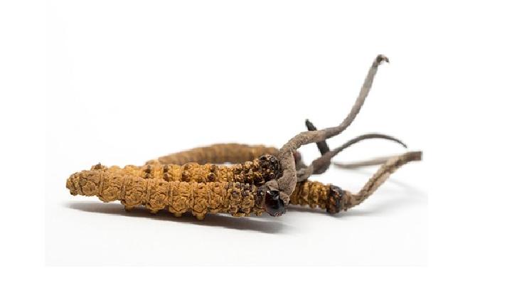 女性更年期保健措施有哪些？女性更年期养生保健方法分享