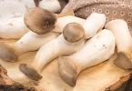 男人补肾吃什么？适合男人补肾吃的7种食物推荐