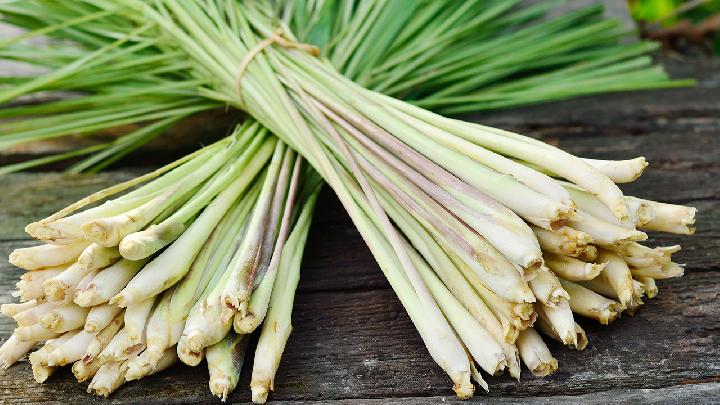 秋季养生吃什么好？秋季养生饮食介绍