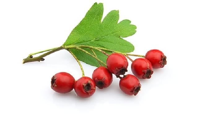 女性日常生活中吃什么可以补肾?推荐这6款补肾食物