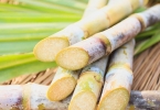 补肝补肾吃什么好？哪些食物有补肝补肾的功效？