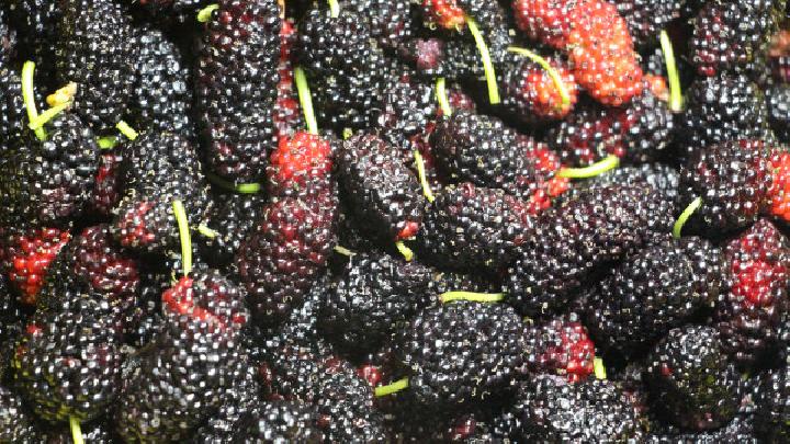 春季养生当食补4大饮食原则助你健康入春