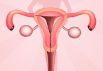 女性什么时候不适合进行性生活？女性在这几个时期要禁止性生活