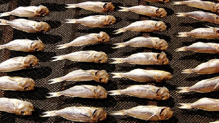 什么食物可以催月经？催月经吃什么食物效果好？