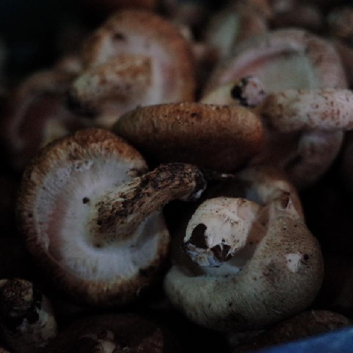 备孕期间吃什么好?备孕期间饮食推荐