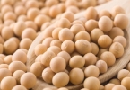 适合孕妇吃的补钙食物有哪些？孕期从什么时候补钙效果好？