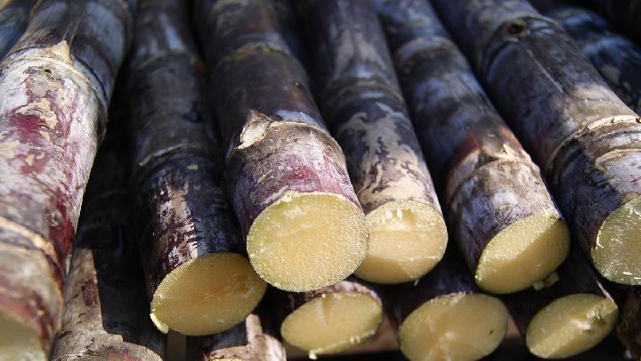 治疗便秘的偏方有哪些？治疗便秘的食疗药疗小推荐