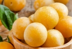 夏季补肾吃什么好？夏天哪些食物补肾效果最好？