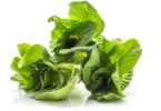秋季养生怎么吃？秋季养生多吃这6种食物有好处