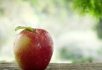春暖花开瘦身时吃什么低热量食物 8种低热量食物减肥时不要放过