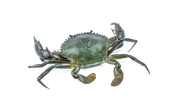 夏季养生需要注意什么?夏季养生需避免4大误区