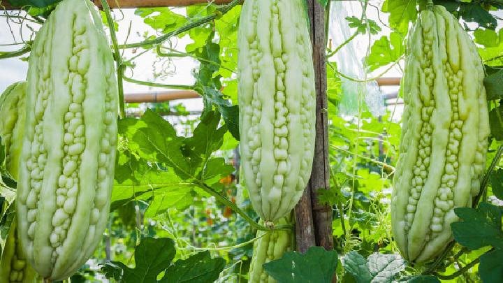 更年期吃什么保健效果好？更年期保健食谱推荐