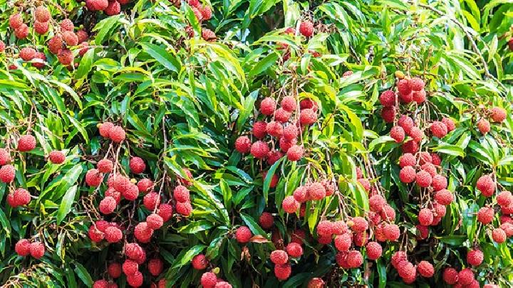 更年期保健的五大秘诀盘点推荐8个美食是更年期保健妙方