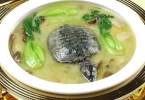 切忌甲鱼虽补孕妇不能吃 孕期孕妇多吃什么好
