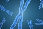 精子卵子染色体异常原因