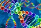 精子库的精子染色体异常