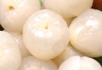 饮食养生：秋季干燥 多吃滋阴润肺的食物