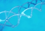 精子卵子一结合染色体异常