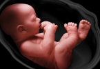 孕期可以吃哪些保健食物？对抗环境污染的食物有哪些？