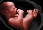 哪些检查可预测胎儿身心健康？