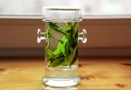 年轻人喝茶好不好？茶叶的功效与作用有哪些？
