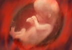 孕妇营养不良会对胎儿造成什么影响？怀孕期间如何预防营养不良？