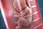 治疗不孕不育选择那种技术比较好？试管婴儿和人工授精有什么区别？