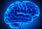 哪些人是脑卒中的高危人群？这7类人小心脑卒中找上门