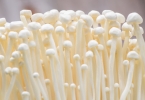得了痛风还经常吃这些食物？难怪痛风总是反复发作