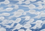 研究发现春季精子质量最佳有利备孕