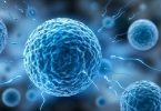 精子活力低是不是性欲不好