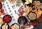 五加皮嫩芽的功效与作用
