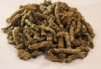 性功能障碍怎么恢复吃什么药好