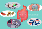 溃疡性结肠炎十年自愈经验分享之“活菌养肠”