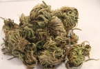 药流九天突然流血增多 药物流产不全有哪些症状