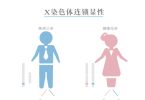 一辈子不敢结婚，只因带有视网膜色素变性基因