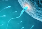 生活是怎么让男性的精子受损的